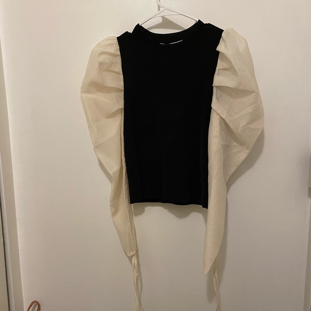 Zara Blouse with Sheer Puff Sleeves